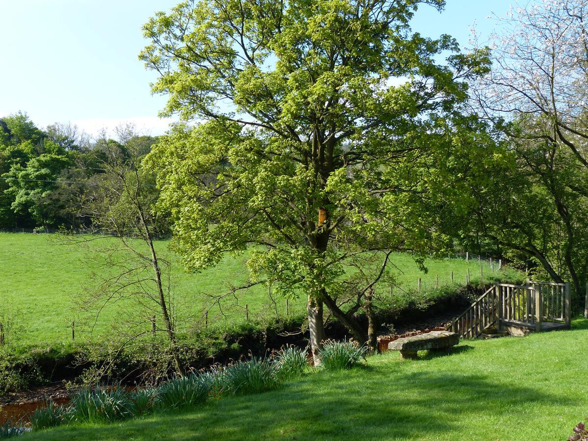 Millbrook Bed & Breakfast Penistone Dış mekan fotoğraf